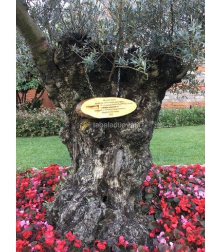 Darüşşafaka Cemiyeti Ahşap Zincirli Tabela