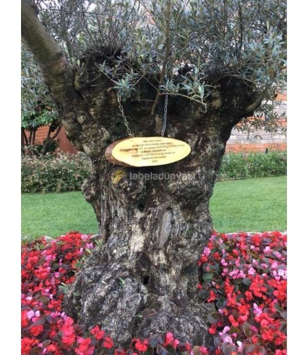 Darüşşafaka Cemiyeti Ahşap Zincirli Tabela