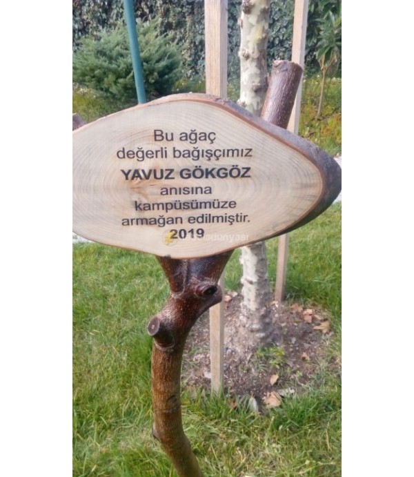 Darüşşafaka Cemiyeti Ahşap Ayaklı Tabela