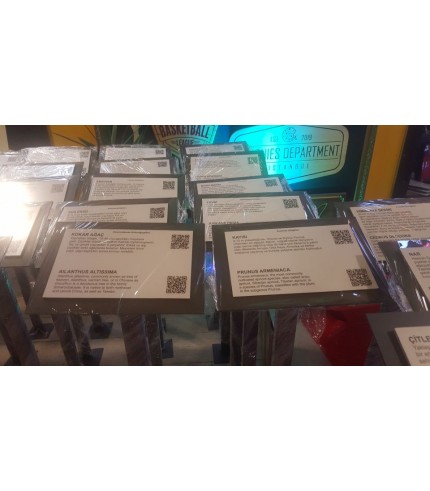 Rumeli Hisarı Müzesi ağaç ve top etiketleri