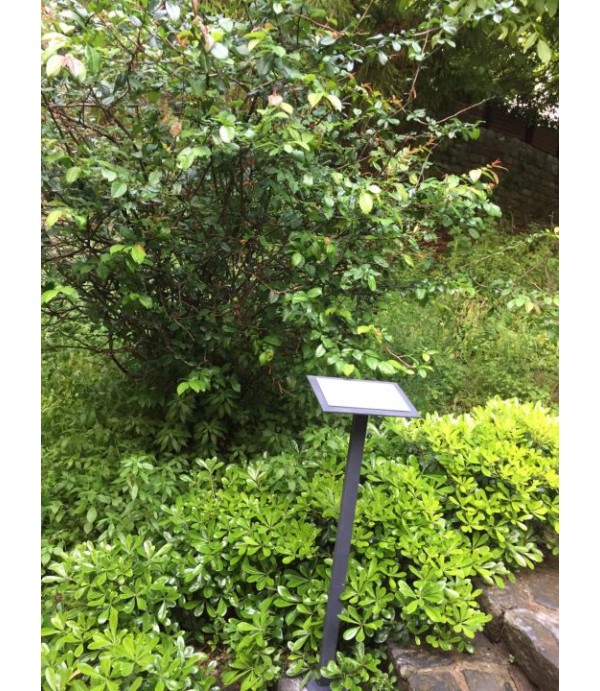 Rumeli Hisarı Müzesi ağaç ve top etiketleri