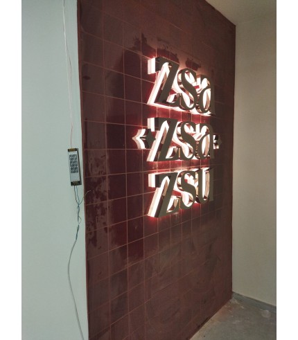 Zsa Zsa Zsu Bronz Işıklı Kutu Harfler