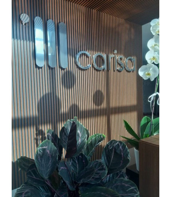 Carisa Radyatör Parlak Paslanmaz Kutu Harf Tabela