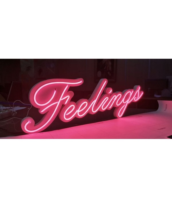 Fransa Feelings Neon Görünümlü Led Tabela