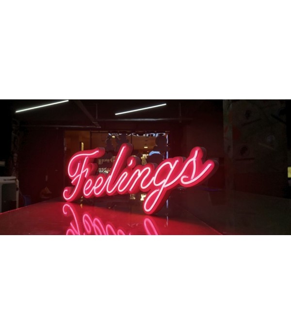 Fransa Feelings Neon Görünümlü Led Tabela
