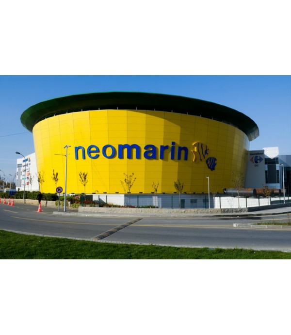 Neomarin Kutu Harf Tabela