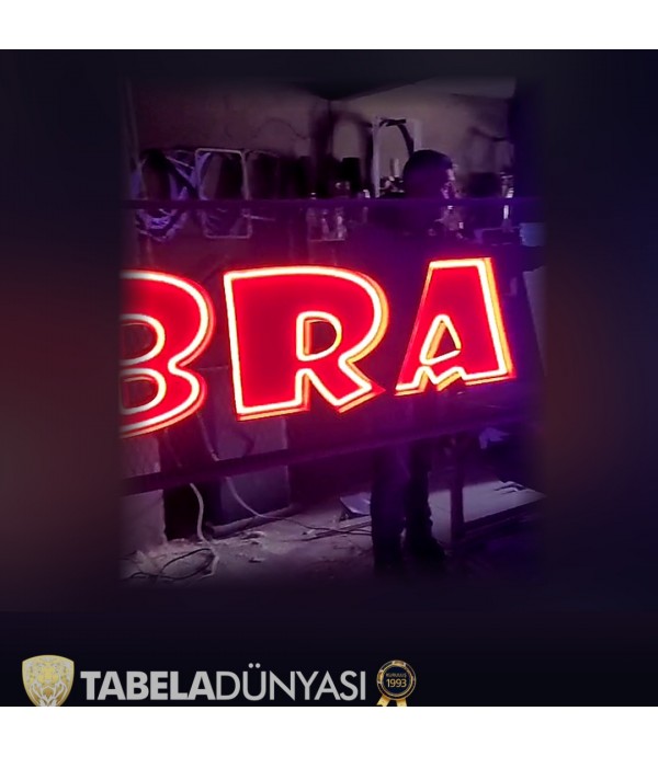 Bra Lounge Bar Almanya Ters Tava Neon Hortum LED Tabela