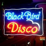 black_bird_disco_neon_tabela_1