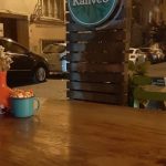 Cafe6 Isıklı Lambri Ahsap Totem